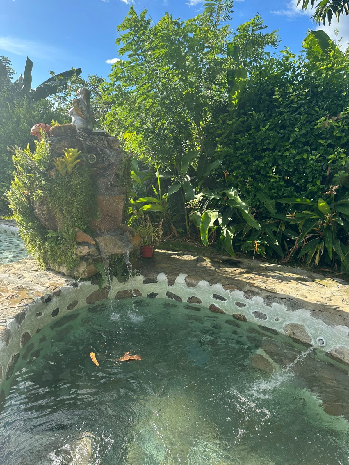 Fuente de agua con estructura de piedra y exuberante vegetación en un entorno de jardín.