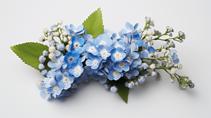 Corsages and Boutonnieres