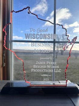 Wisconsin business award plaque shaped like the state, on a black base, in front of a window.