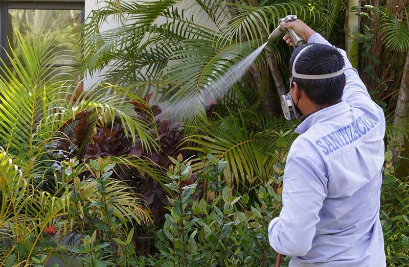 FUMIGACIONES PENINSULARES