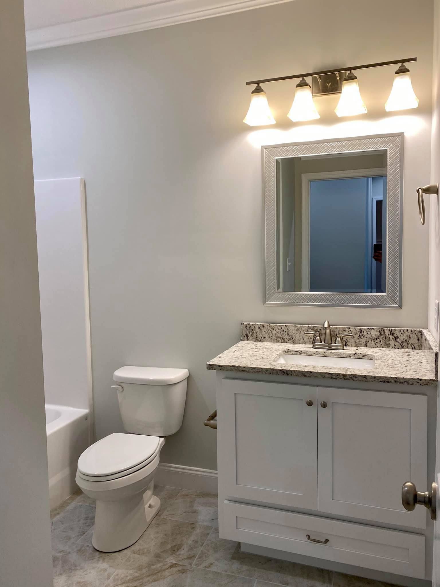 Bathroom with white vanity, toilet, and shower, gray walls, and a mirror with a light fixture.