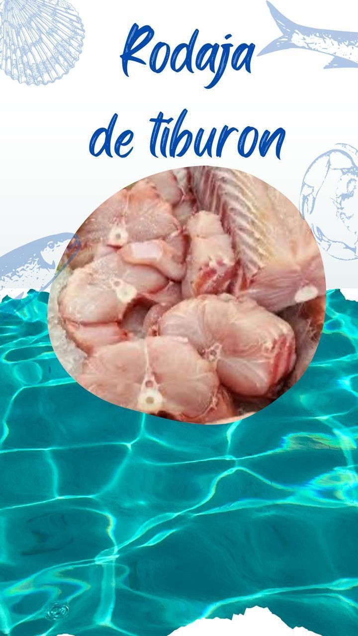 Una foto de rodaja de tiburón en el agua.