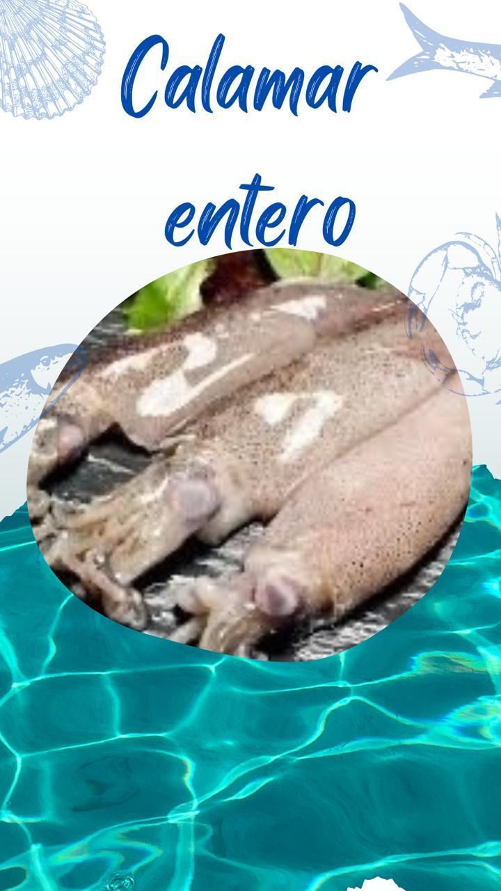 Una imagen de un calamar con las palabras calamar entero debajo.