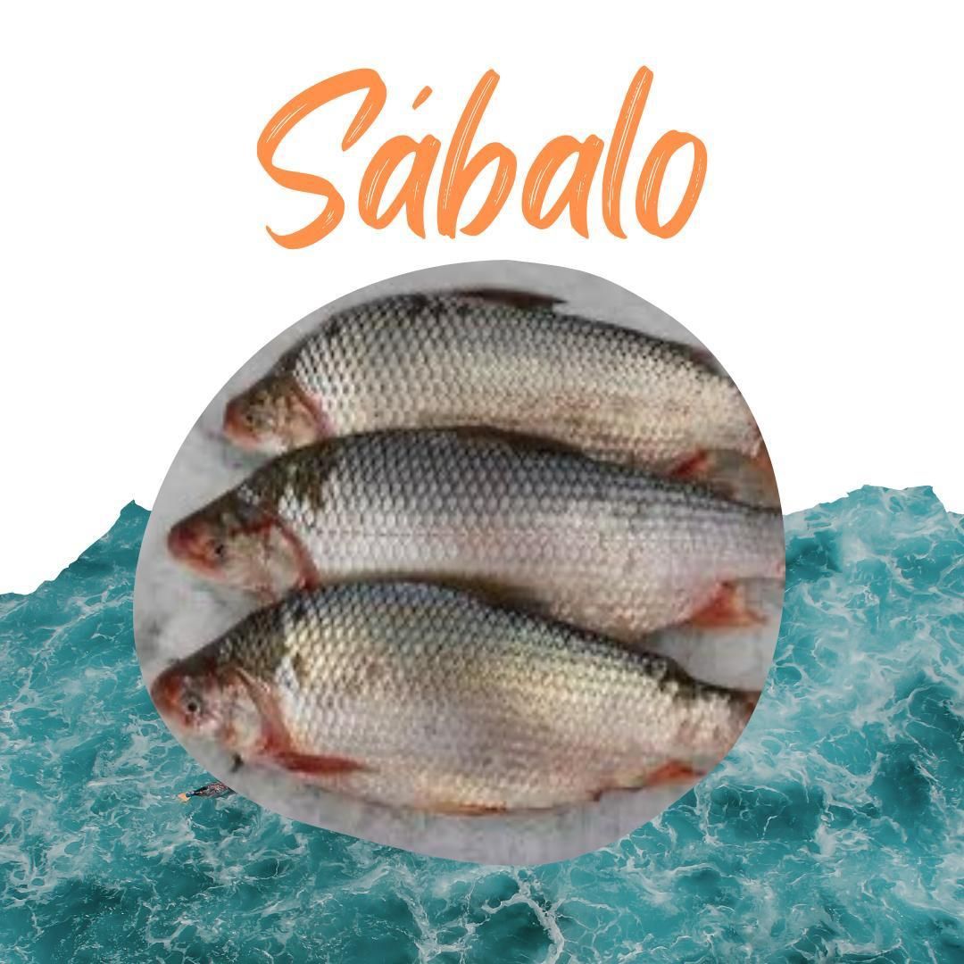 Tres peces en un círculo con la palabra sabalo encima de ellos