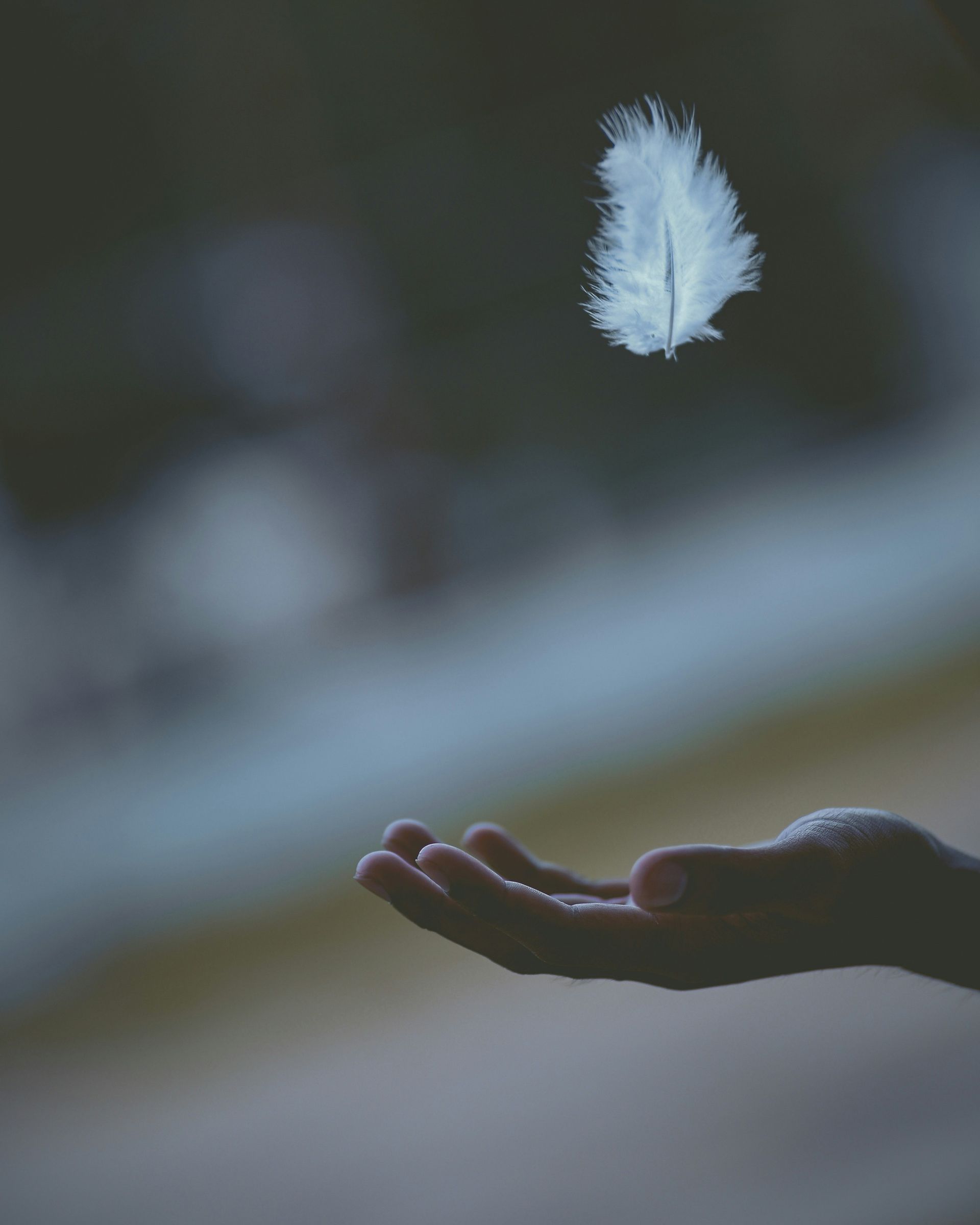 A hand with a floating white feather on top