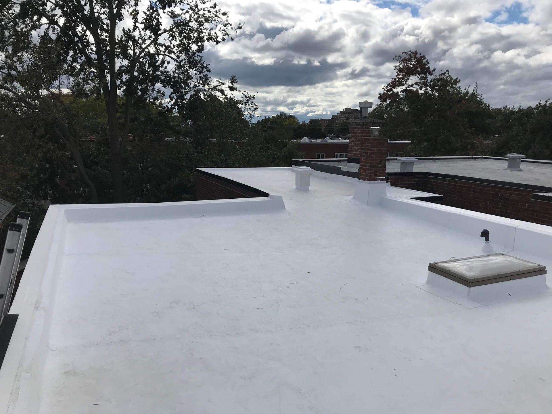 Un toit blanc avec une cheminée et des arbres en arrière-plan