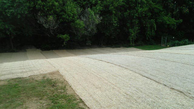 Paved Driveway - Excavation Services in Pleasant Gap, PA