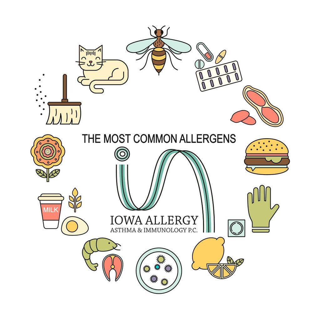 illustration of objects included in the most common allergens