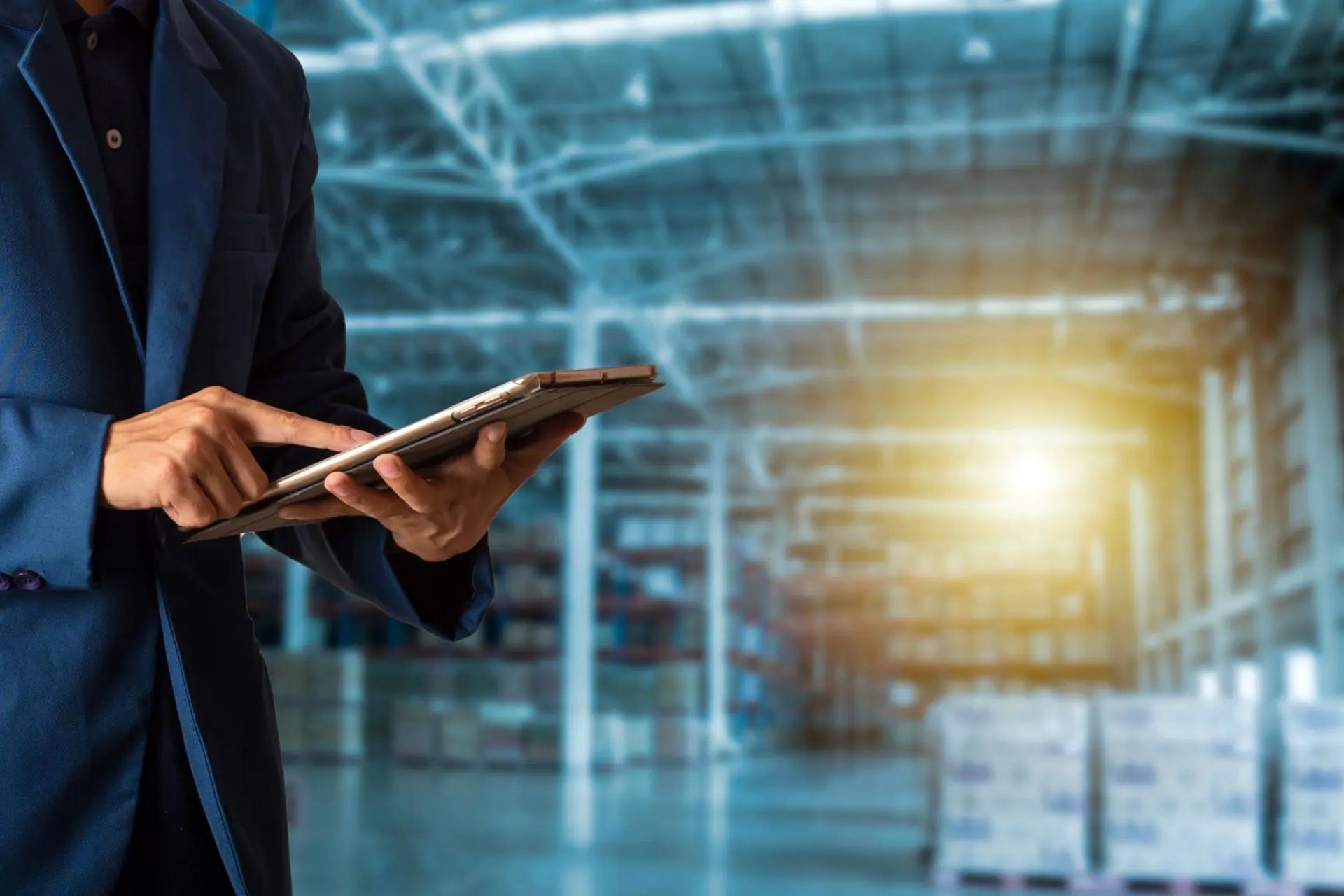 gestionedel magazzino