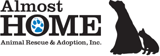Logo for