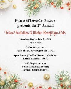 Flyer for Hearts of Love Cat Rescue's benefit event: