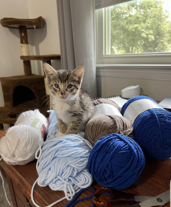 A woman is holding a cat in a cage while a little girl looks on.