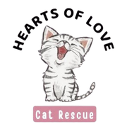 A logo for Hearts of Love cat rescue