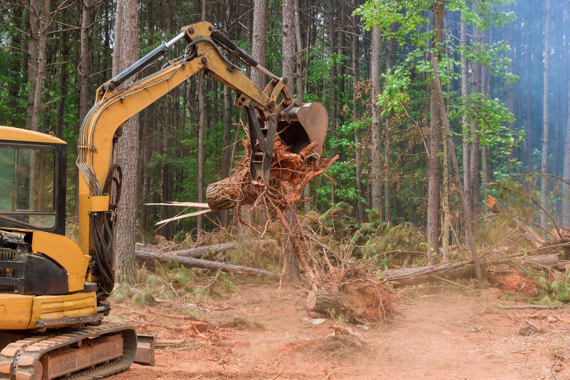 Yellow excavator clearing tree roots in a forest clearing, with dirt and debris flying