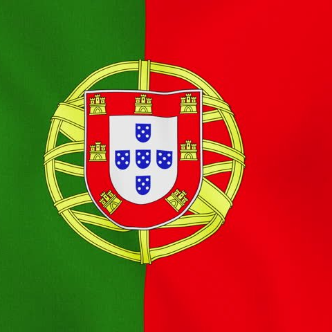 Traducción al Portugués