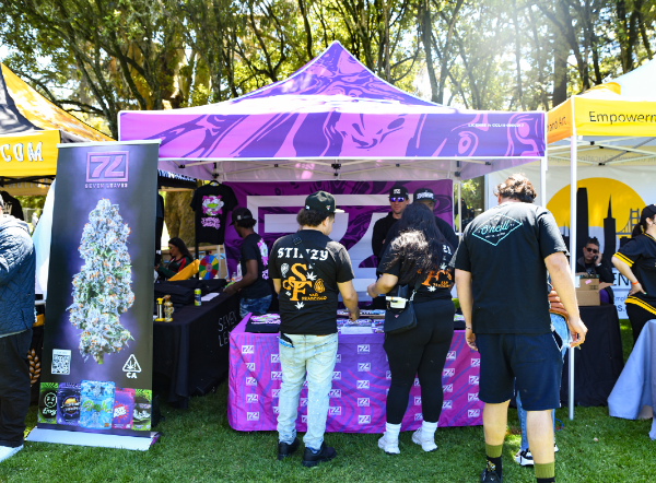 Hippie Hill Seven Leaves