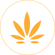 Orange cannabis leaf design inside a white circle with an orange outline.