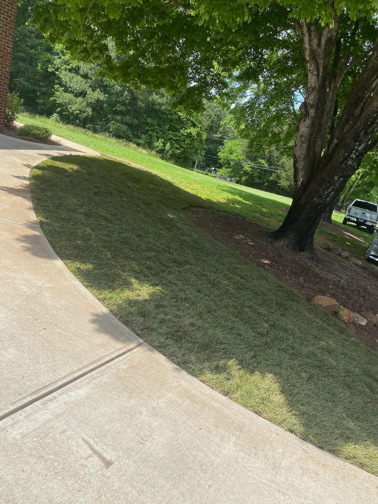 A sidewalk leading to a grassy hill with a tree in the background.