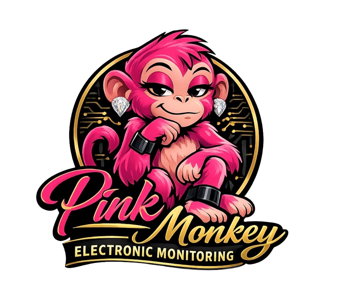 Pink Monkey Electronic Monitoring LLC. Pink Monkey Electronic Monitoring LLC.