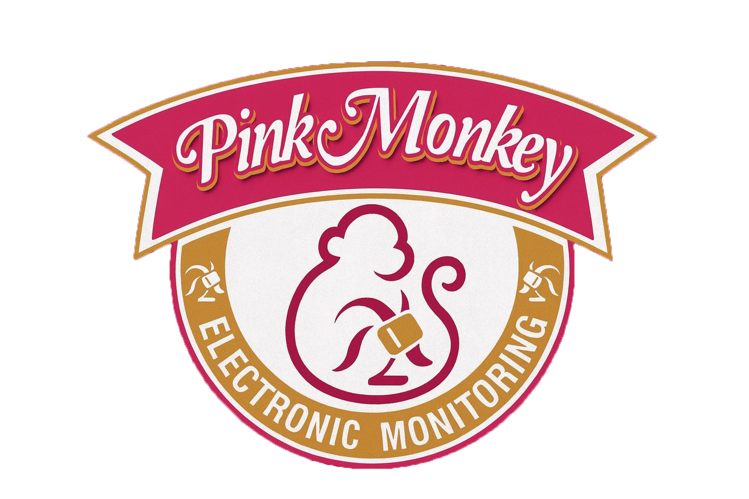 Pink Monkey Electronic Monitoring LLC. Pink Monkey Electronic Monitoring LLC.