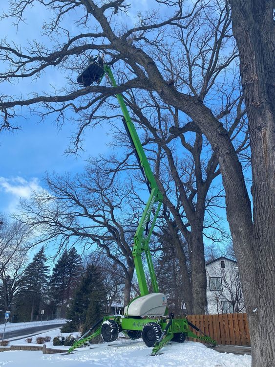 Man Cutting Trees — St. Paul, MN — Urban Foresters