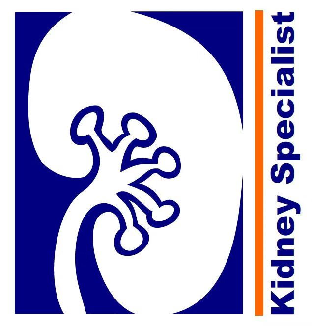 White kidney illustration on a blue background, with orange