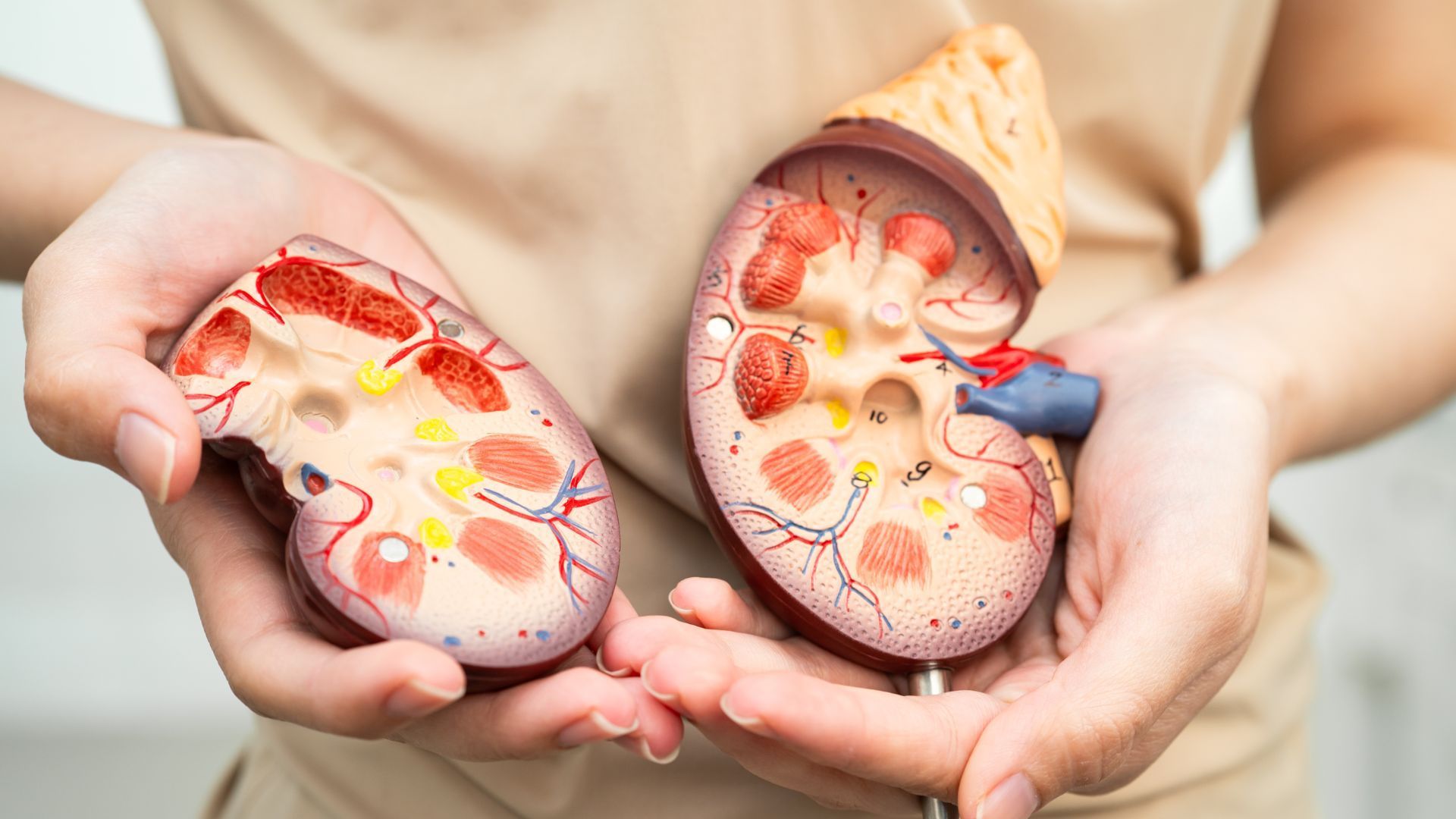 Prevention of Dialysis.