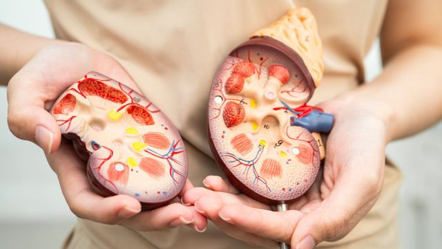 Prevention of Dialysis.