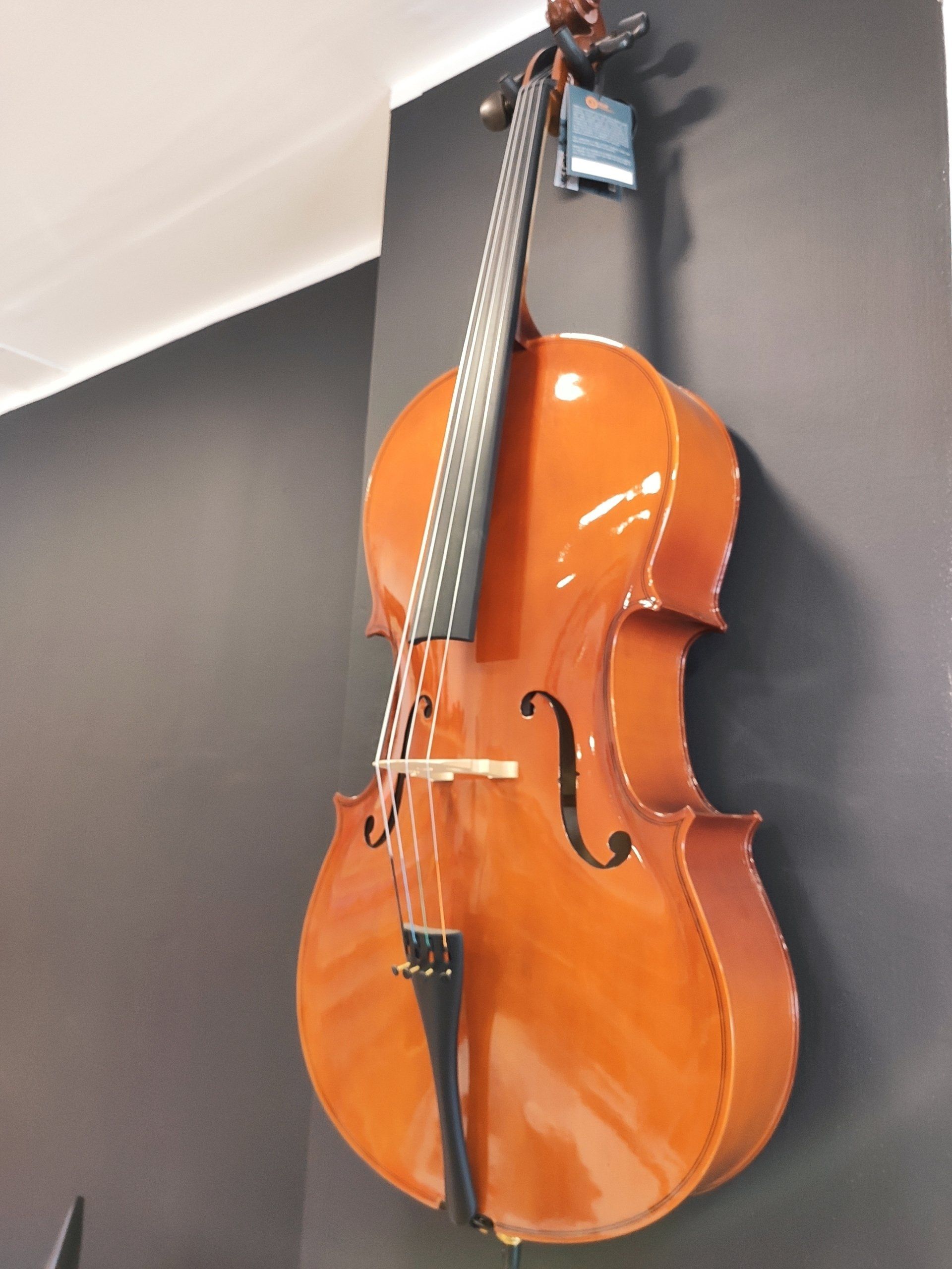 violoncello