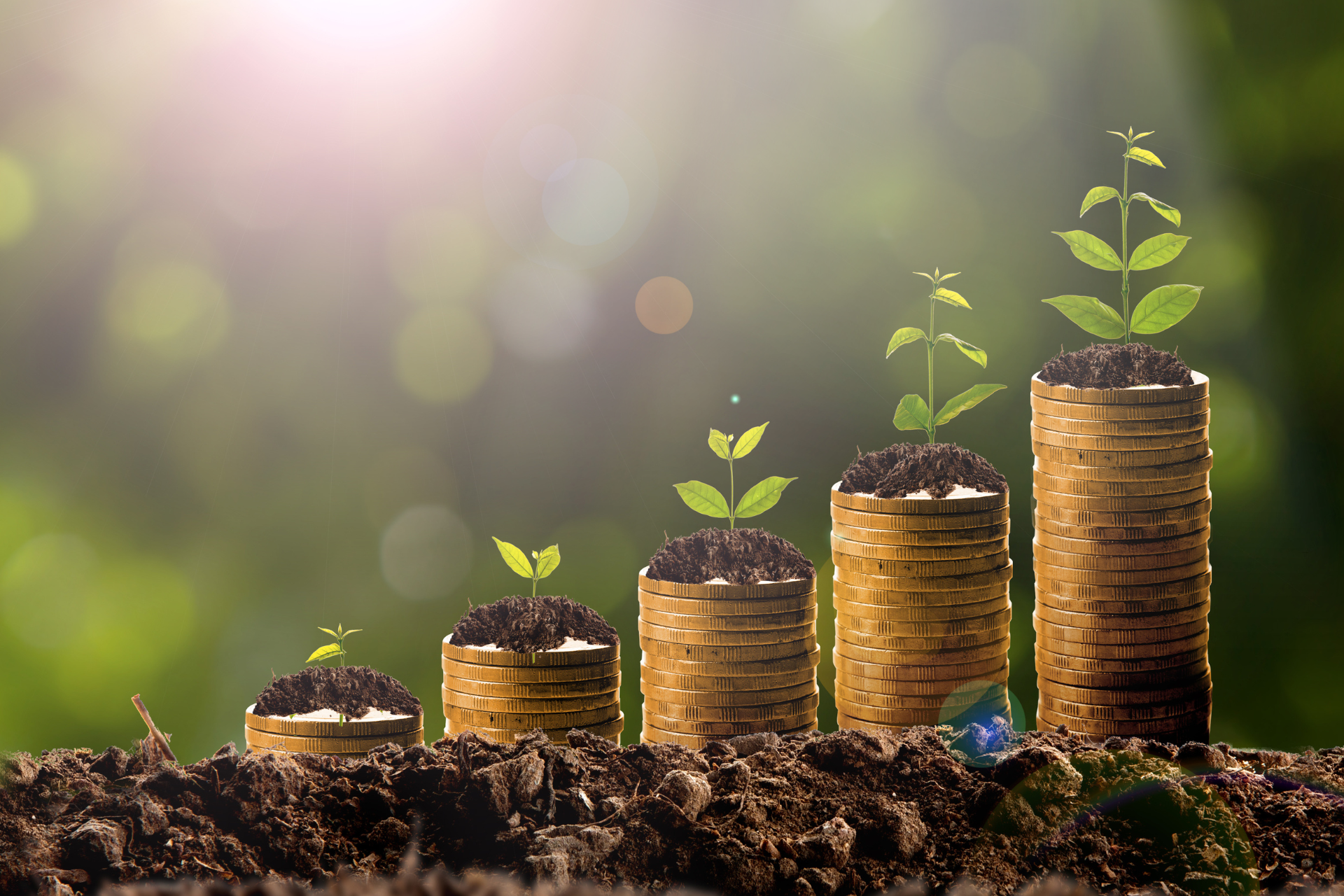 Person putting money into a piggy bank to represent growing abundance
