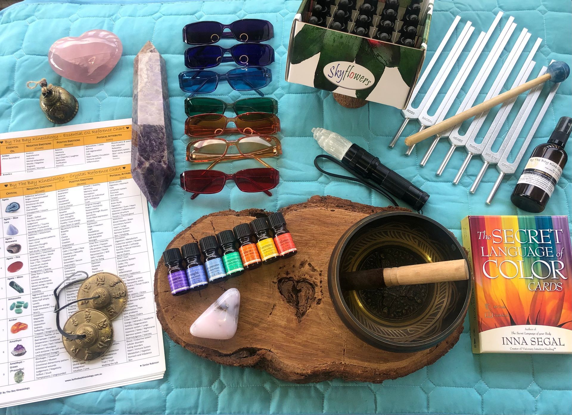 Learn about Kinesiology