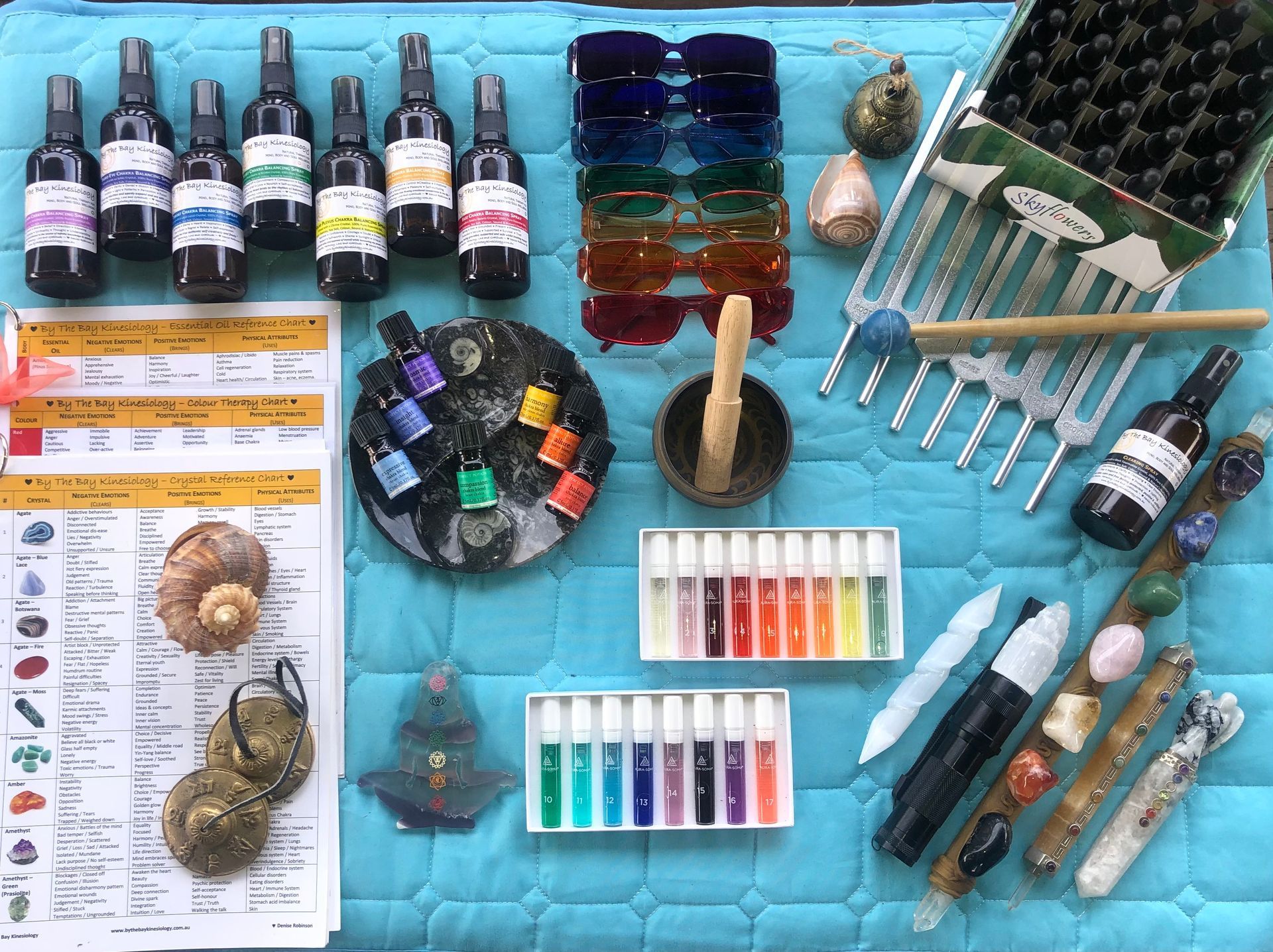 Learn about Kinesiology 