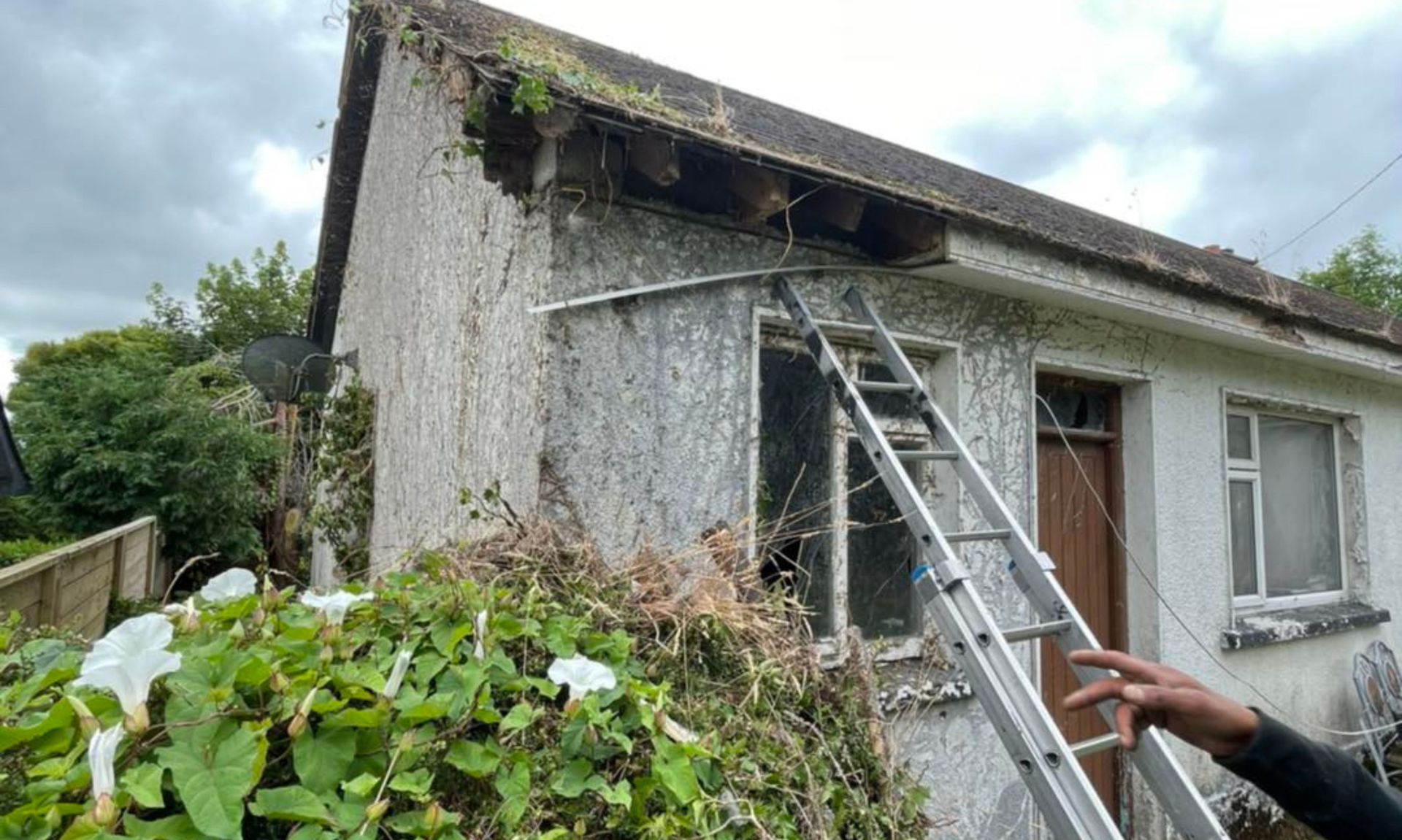 A person is standing on a ladder in front of a house.