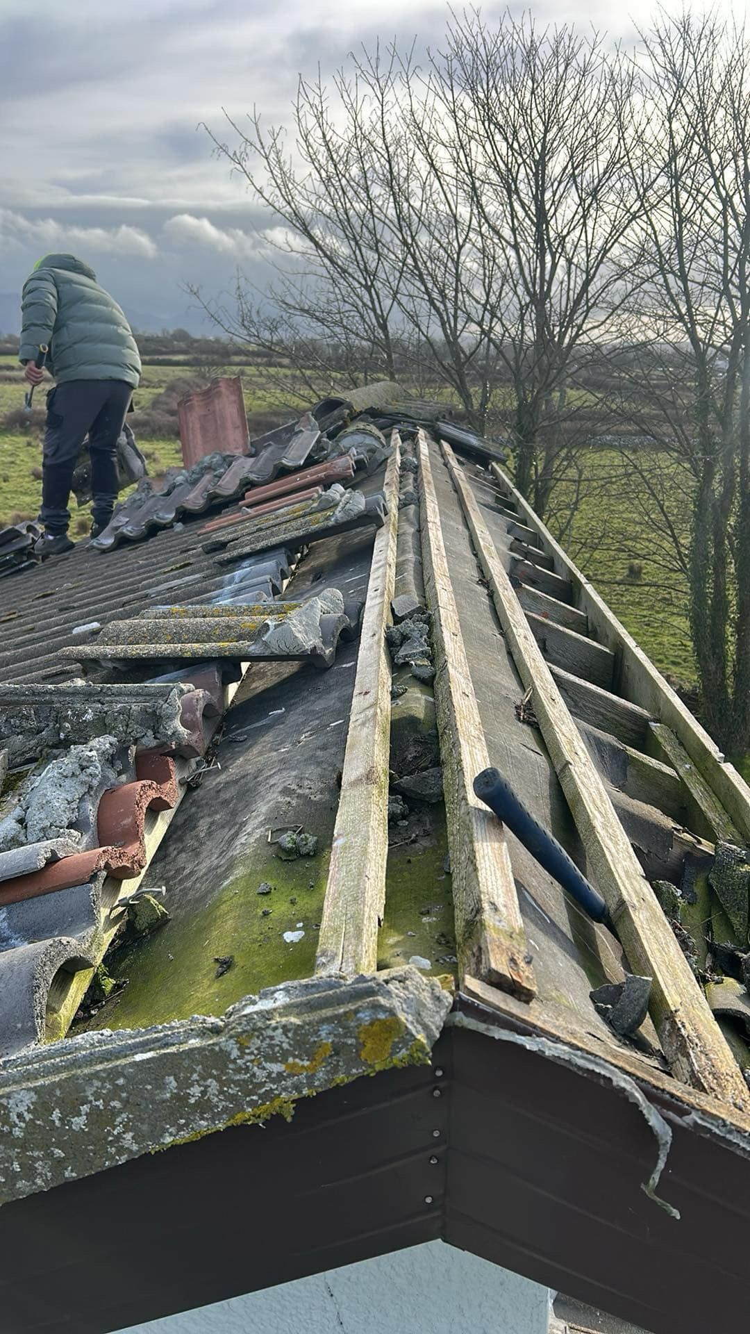 A ladder is sitting on the side of a building next to a roof.