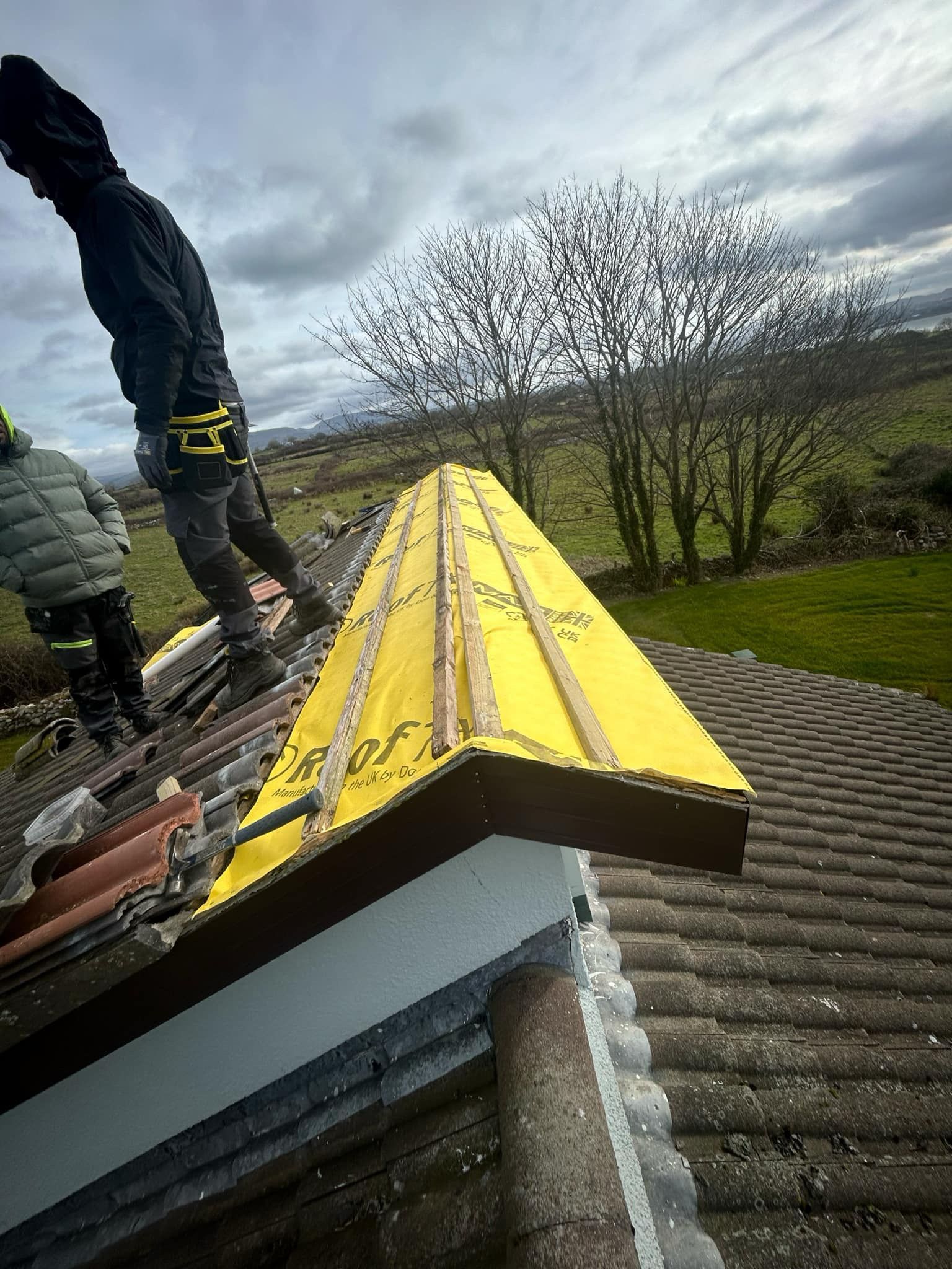 A roof with a ladder attached to it and a field in the background.