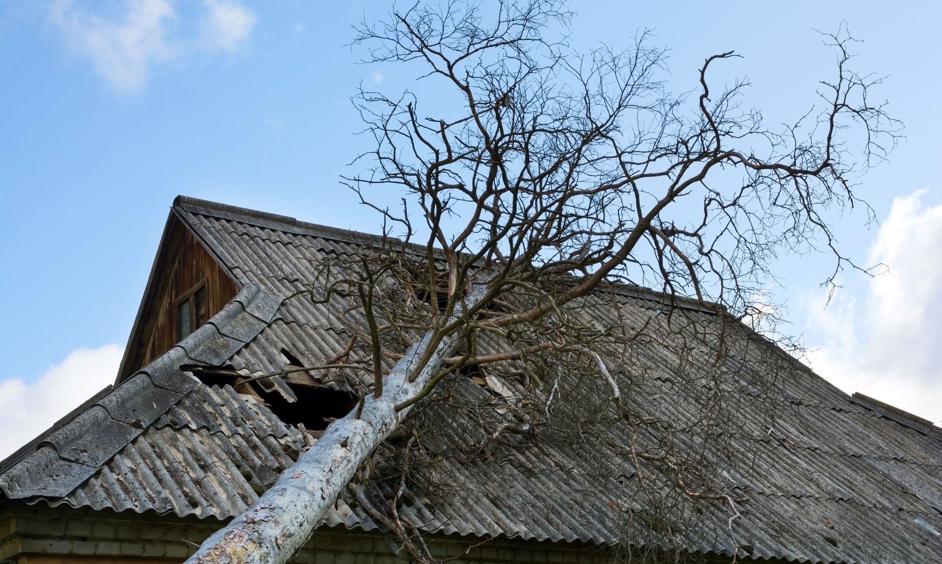 A tree has fallen on the roof of a house.