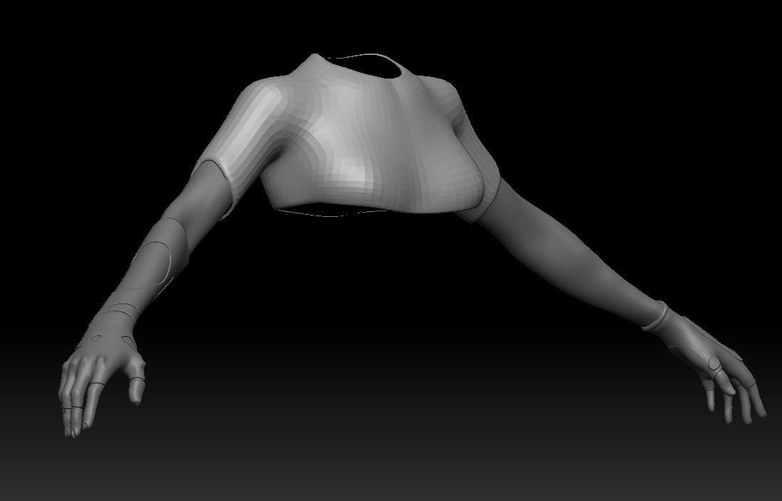 models created for dual orbit - female upper body and arms
