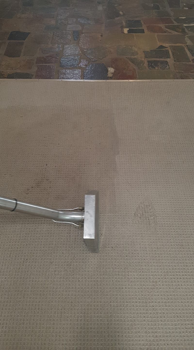 A vacuum cleaner is cleaning a carpet in a room. — Lake Macquarie Carpet Cleaning In Newcastle, NSW