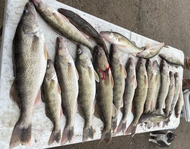 Devils Lake Fishing Reports - North Dakota