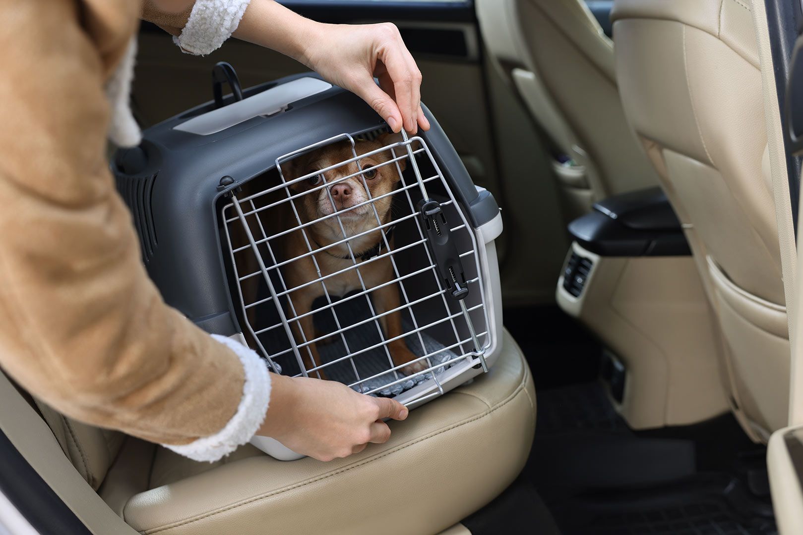 A Person Is Putting a Small Dog in A Carrier in A Car — FBM Fabrication In Shellharbour, NSW
