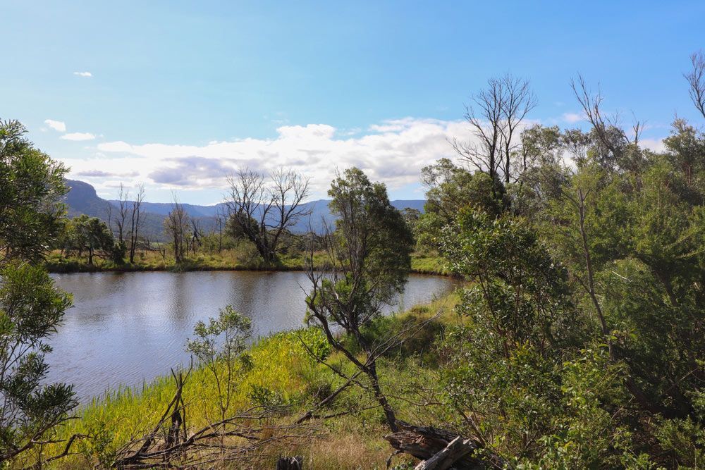 A River Surrounded by Trees and Grass with Mountains in The Background — FBM Fabrication In Shellharbour, NSW