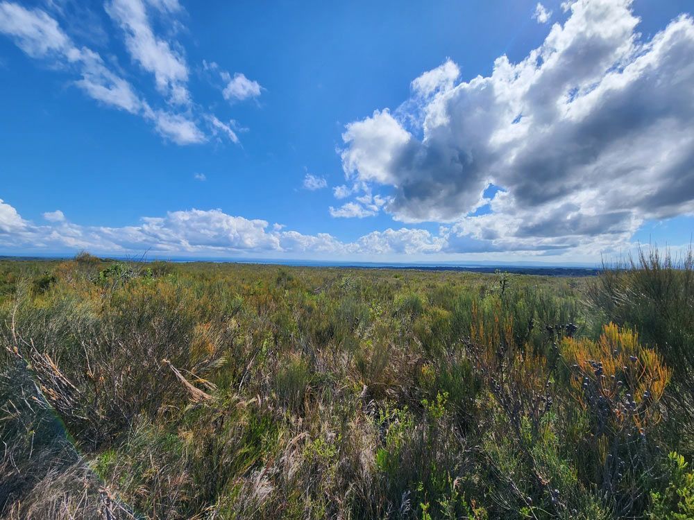 A Lush Green Field with A Blue Sky and Clouds in The Background — FBM Fabrication In Shellharbour, NSW