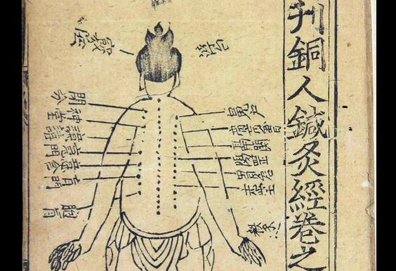 Chinese anatomische kaart van de rug met acupunctuurpunten