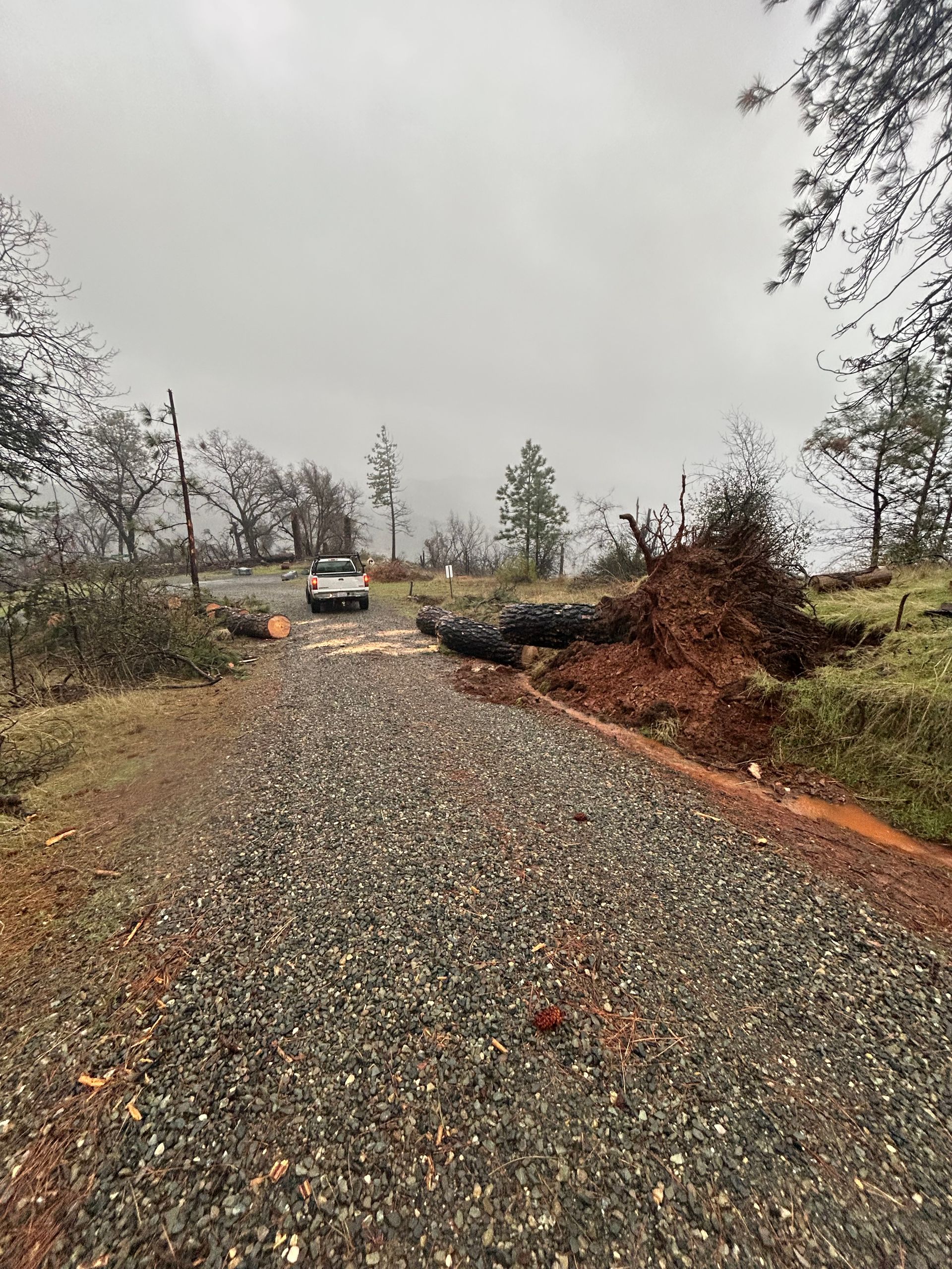 Gravel road blocked by fallen tree, with a car approaching on a cloudy day.