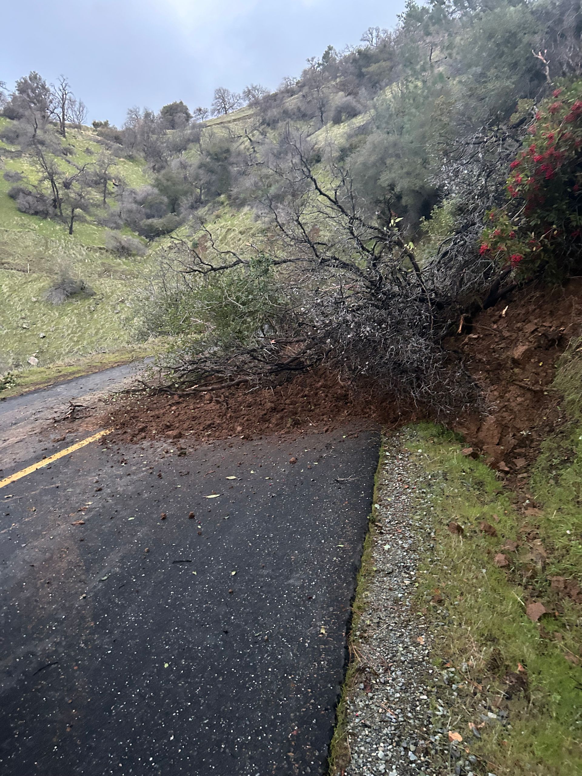 Landslide blocks a road in a hilly area, brown dirt and tree debris on the pavement.