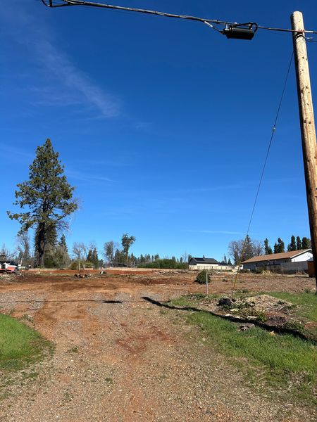 Dirt lot with tree stumps, cleared ground, power pole, and a tree against a blue sky.