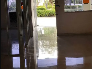 Shiny, light brown floor reflecting interior window frame and outdoor greenery.