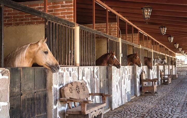 BIENES RAÍCES LEON MÓNICA GARCÍA