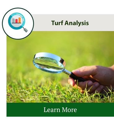 Lawn Turf Analysis