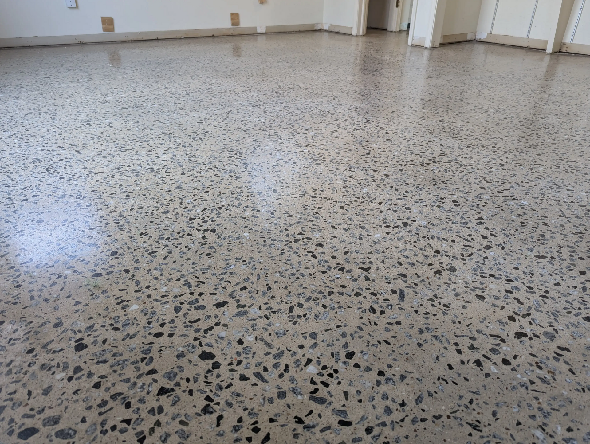 High-exposure polished concrete floor showing detailed aggregate pattern in a bright, clean commerci